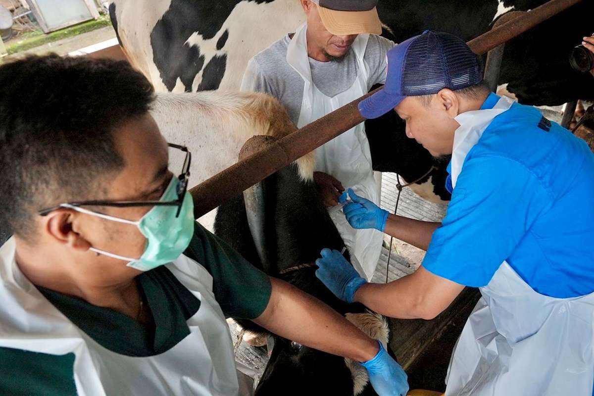 Pemprov Jabar Perbanyak Pasokan Daging Sapi Antisipasi Kelangkaan