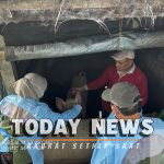 DPKH Pasuruan Uji Lab Sampel Darah Babi Mati Mendadak