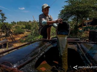 Kronologis Korupsi Minyak Mentah yang Rugikan Negara Rp193,7 Triliun