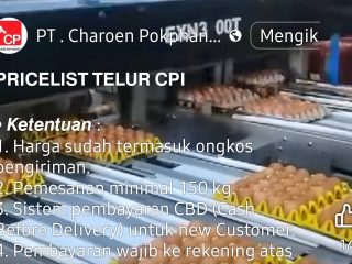 Waspada Penipuan Telur Murah Atasnamakan Charoen Pokphand