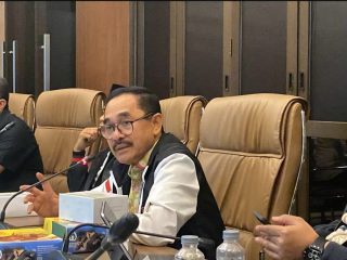 PPP Respons Pernyataan Jokowi yang Ogah Jadi Caketum