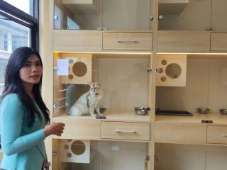 Titipkan Hewan Kesayangan di Hotel Pet Jadi Solusi Mudik Tenang