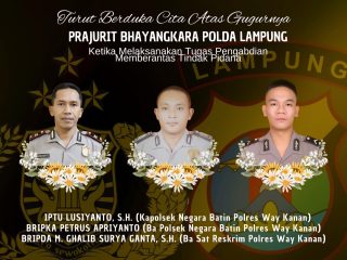 3 Polisi Gugur Saat Gerebek Judi Sabung Ayam di Lampung