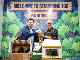 Apresiasi Kebijakan Pemkot soal Study Tour, Semarang Zoo Dapat Hibah Satwa