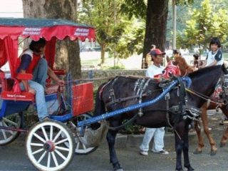 Ribuan Delman dan Becak di Jabar Bakal Menerima Kompensasi Rp 3 Juta