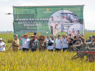 Jateng Optimis Mampu Penuhi Target 11,8 Juta Ton Padi di 2025