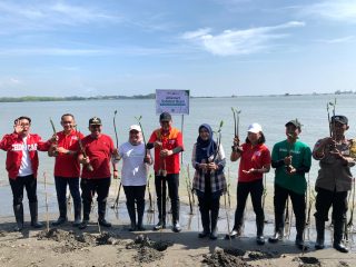 Alfamart Gandeng Pemkot Tanam 20 Ribu Mangrove di Pesisir Semarang