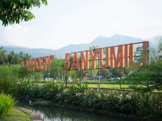 Rekomendasi Wisata Pemandangan Sawah di Salatiga
