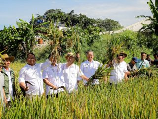 Kota Bandung Panen 8 Ton per Hektar