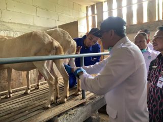 Menteri Karding Janjikan Bantu Pemasaran Usaha Susu Kambing Purna PMI di Demak