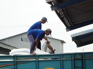 BULOG Jatim Catat Rekor Serapan Beras Nasional, Lampaui 500 Ribu Ton