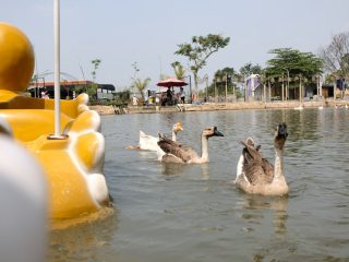 7 Tempat Wisata Murah di Bandung yang Wajib Dikunjungi!