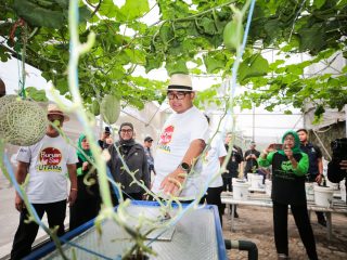Kota Bandung Kembangkan Kampung Wisata Melon Premium