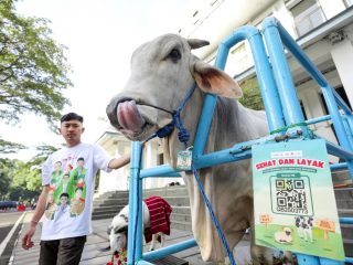 Tetap Waspada Meski Bebas PMK, Pemkot Bandung Pantau Lalu Lintas Hewan Kurban dari Luar Kota