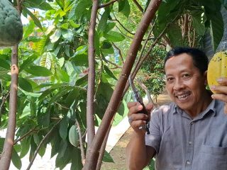 Rumah Coklat Bodag: Dari Lereng Wilis ke Pasar Nasional, Cita Rasa Lokal yang Mendunia