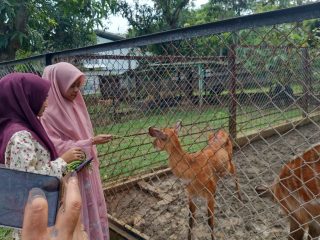 Semarang Zoo Kembali Mendapat Tiga Jenis Koleksi Satwa