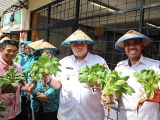 Urban Farming di RPTRA Tanah Tinggi Dukung Penanganan Stunting