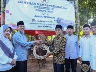Sekda Jateng Serahkan Sapi Kurban Dari Presiden Prabowo Subianto di Jawa Tengah