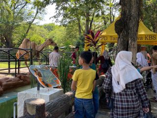 Libur Tahun Baru Islam, KBS Dikunjungi 48.500 Wisatawan