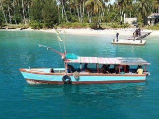Jadi Perebutan Aceh dan Sumut Sejak 2008, Apa Istimewanya 4 Pulau Ini?
