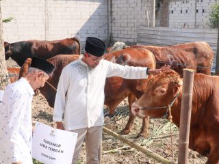 Sekda Jateng Apresiasi Baznas Jateng Olah 116 Ekor Sapi Kurban jadi Kornet