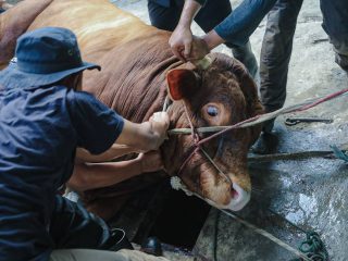 Pemkot Bandung Pantau Penyembelihan Hewan Kurban Selama Hari Tasrik