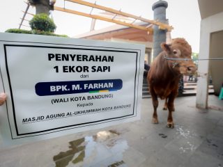 Alhamdulillah! Kurban di Kota Bandung Terdistribusi Merata, Sampah Terkendali