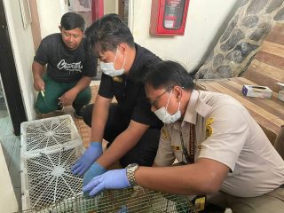 Balai Karantina Banten Berhasil Gagalkan Penyelundupan 742 Ekor Burung Liar