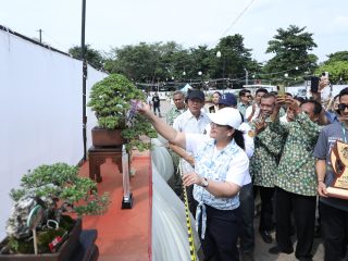 Pemkot Semarang Bakal Dirikan Akademi Bonsai