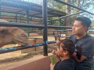 Semarang Zoo Mampu Gaet Wisatawan Hingga 700 Orang per Hari Pada Musim Liburan Sekolah