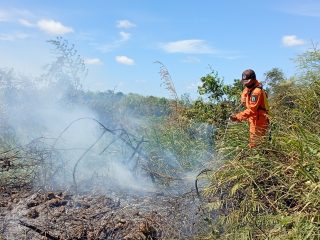Perkembangan Situasi dan Penanganan Bencana 11 Juli 2025, Karhutla Mendominasi