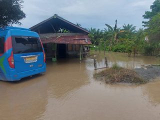 Update BNPB: Perkembangan Situasi dan Penanganan Bencana 16 Juli 2025