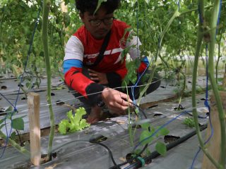 Petani Muda Jawa Tengah Didukung Program Zilenial