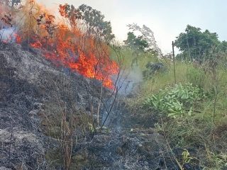 Perkembangan Situasi dan Penanganan Bencana di Tanah Air 23 Juli 2025