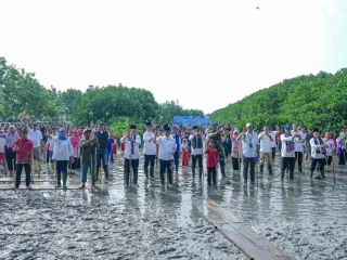 Transjakarta Tanam 15 Ribu Bibit Mangrove Dukung Kurangi Polusi Jakarta