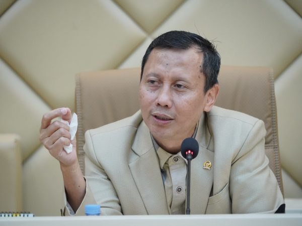 Soroti Lonjakan Deforestasi di Sumatera dan Izin Ekstraktif, Komisi IV Dorong Revisi UU Cipta Kerja