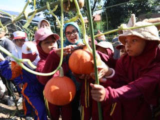 Peringati HAN 2025, Puluhan Anak Surabaya Panen Sayur dan Ikan di Mini Agrowisata