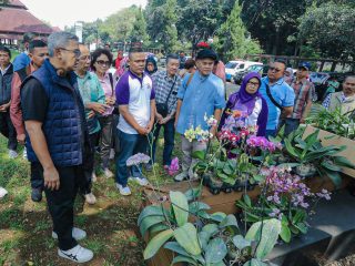 Konservasi Anggrek, Farhan: Langkah Kecil Kembalikan Bandung Kota Kembang