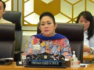 DPR Minta Perusahaan Besar yang Terlibat Kasus Beras Oplosan Ditindak Tegas
