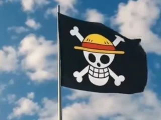 DPR Tak Mau Persoalkan Trend Pengibaran Bendera One Piece Jelang HUT ke-80 RI