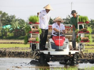 Pemprov Jateng Pulihkan 512 Hektar Lahan Pertanian di Demak