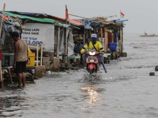 Warga Pesisir Jakarta Utara Diminta Waspada Banjir Rob Hingga 9 Agustus 2025