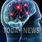 78a9e0ac-0da9-4f08-a646-5aa55b09e40f_169