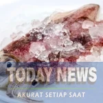 Tips Hilangkan Bau Amis Ikan