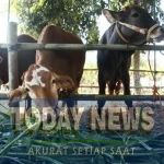 cd4e7a3c-687a-4421-9b80-2a5f24be2585