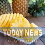 ilustrasi-buah-nanas-1746274244503_43