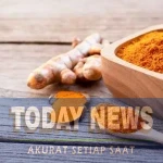 Manfaat Temulawak bagi Kesehatan.