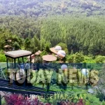 thelodgemaribayaspotfotokekiniandanwahanaserudibandung