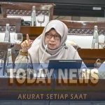 Anggota Komisi XI DPR RI, Anis Byarwati