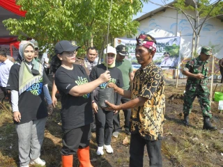 Dukung Mageri Segoro, Pemkot Gerakkan Tanam Cemara Laut di Pesisir Semarang